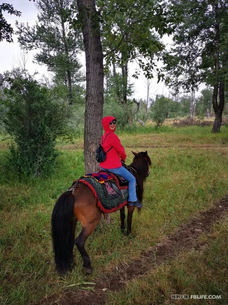 Traveling in Xinjiang | Bring your family and pots and pans, let's go!