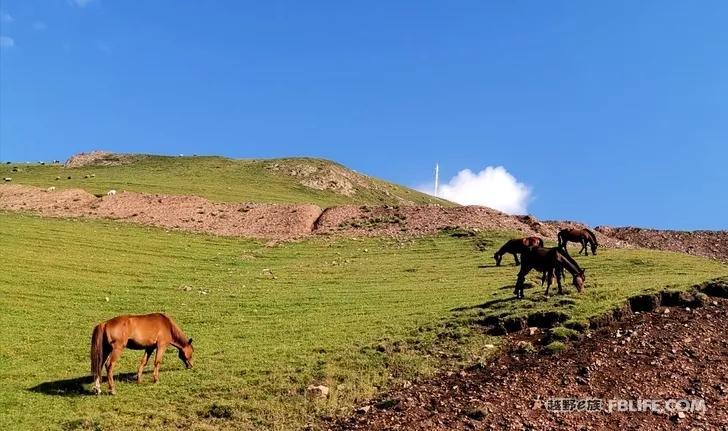 Traveling in Xinjiang | Bring your family and pots and pans, let's go!