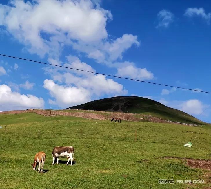 Traveling in Xinjiang | Bring your family and pots and pans, let's go!