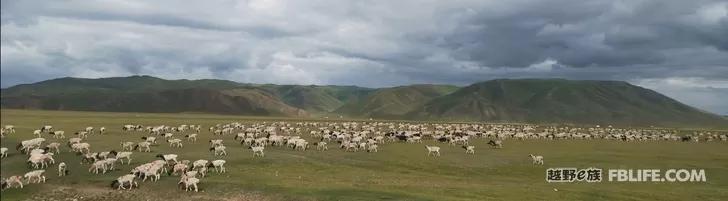 Traveling in Xinjiang | Bring your family and pots and pans, let's go!