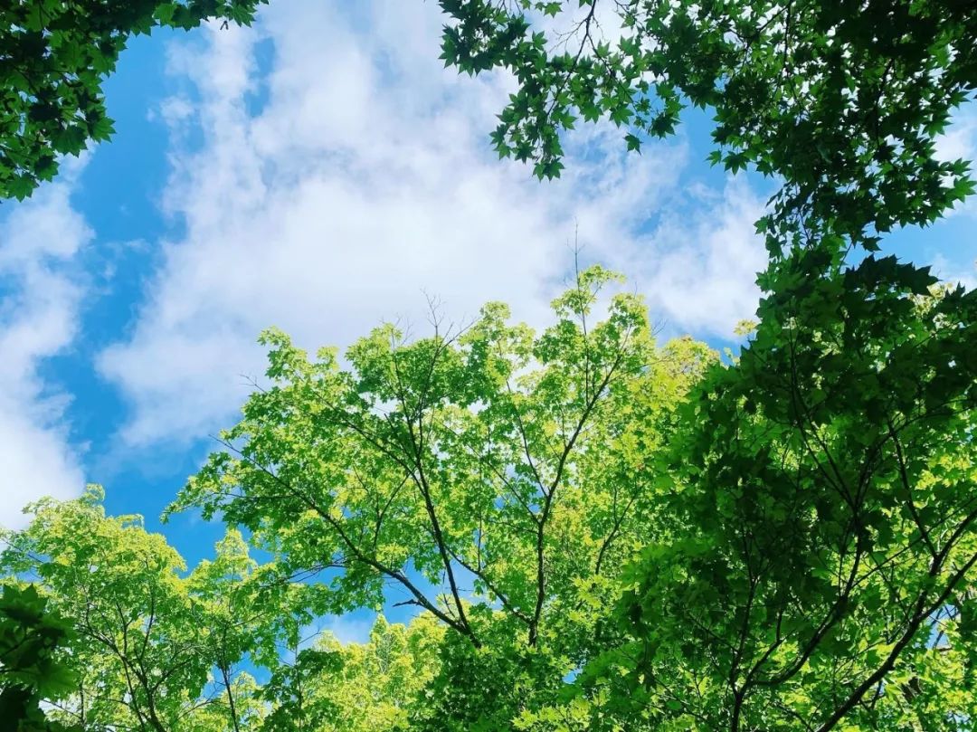 The best summer secret place in Japan, you must go there before the crowds occupy it!