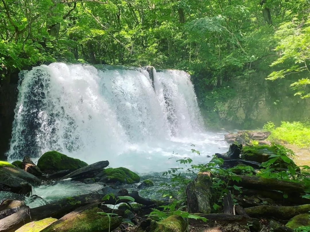 The best summer secret place in Japan, you must go there before the crowds occupy it!