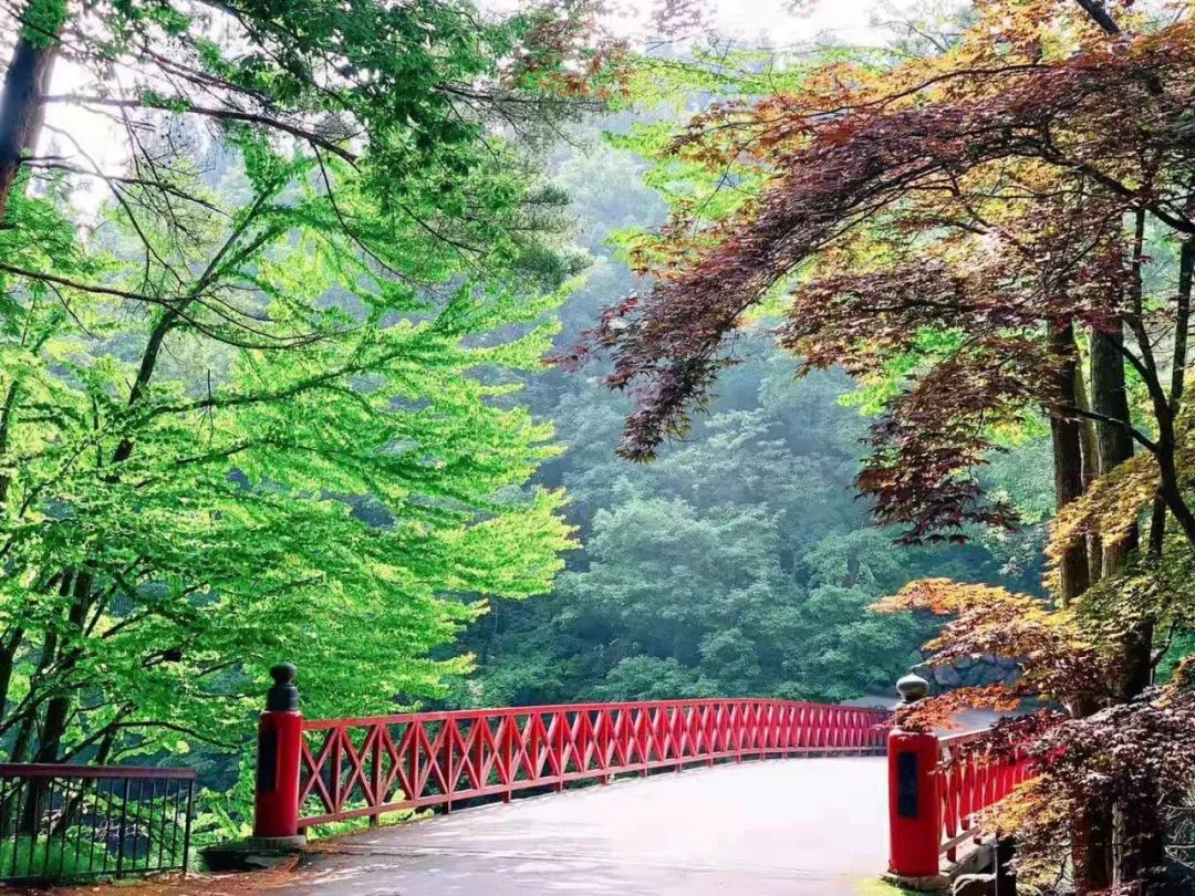 The best summer secret place in Japan, you must go there before the crowds occupy it!