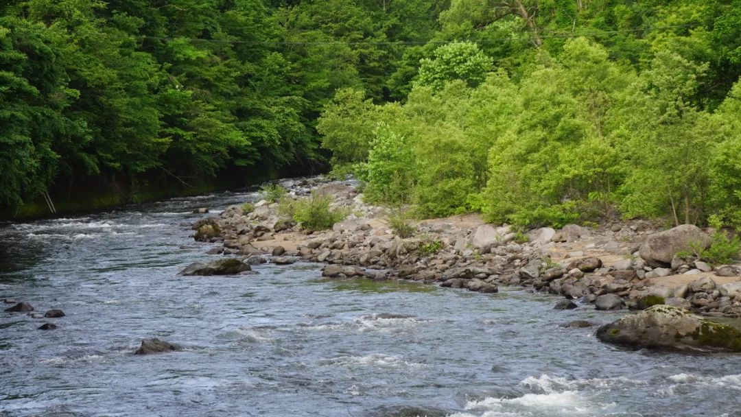 The best summer secret place in Japan, you must go there before the crowds occupy it!