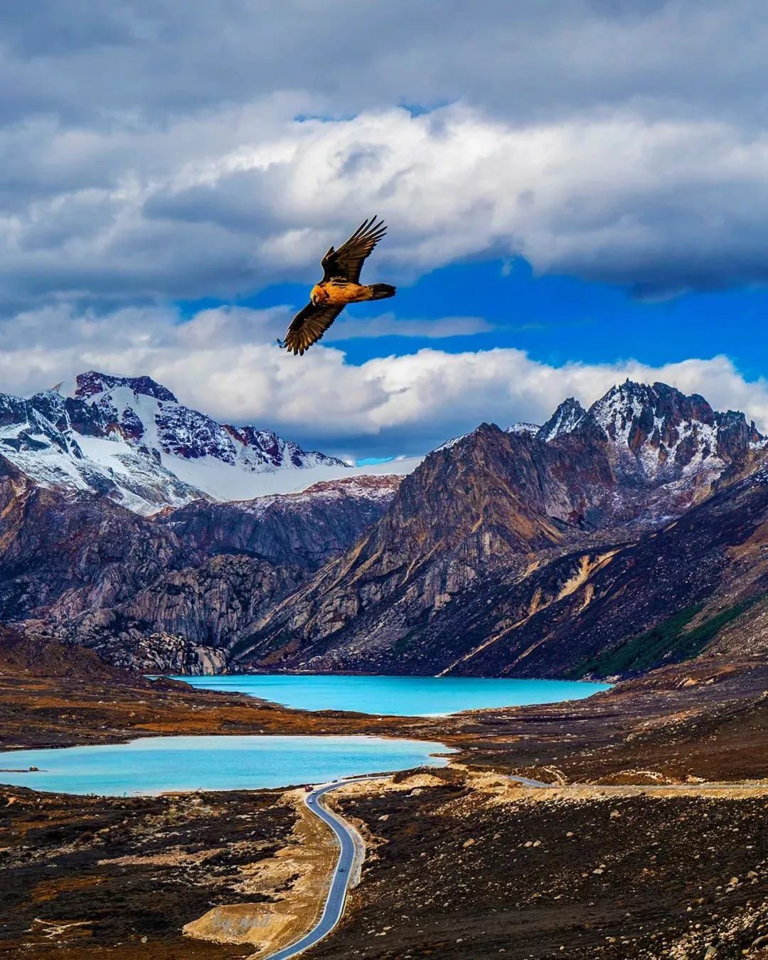 Sichuan-Tibet Line 318, this road on earth will usher in its most beautiful time!