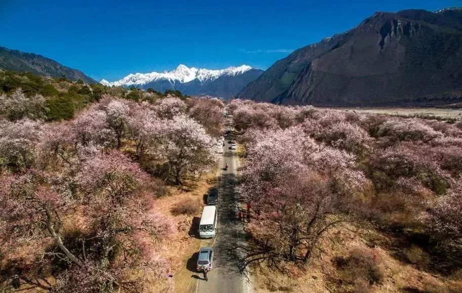 Sichuan-Tibet Line 318, this road on earth will usher in its most beautiful time!