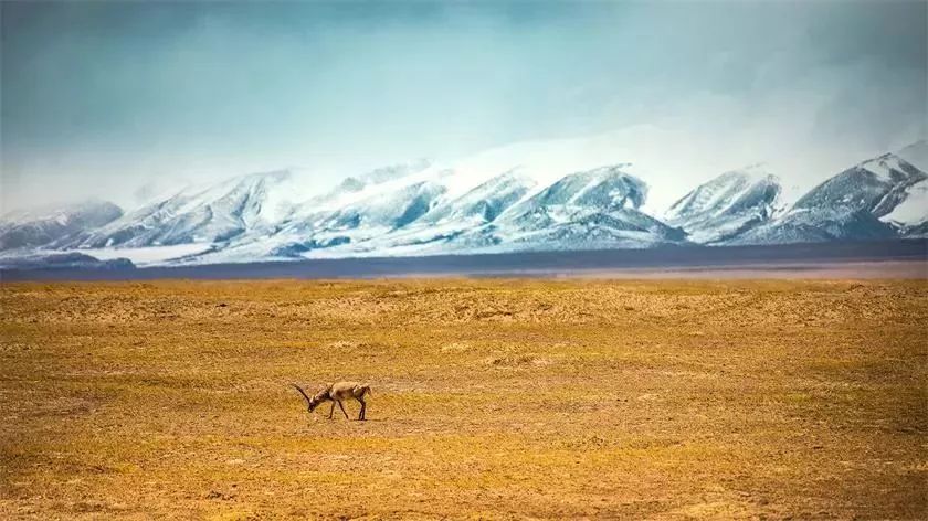 The 9th entry line to Tibet has been discovered in China, go and brag for a lifetime!