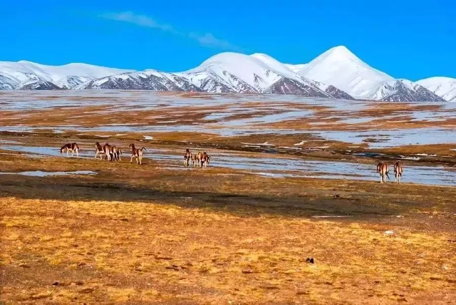 The 9th entry line to Tibet has been discovered in China, go and brag for a lifetime!