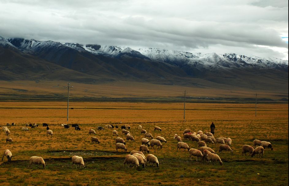 The 9th entry line to Tibet has been discovered in China, go and brag for a lifetime!