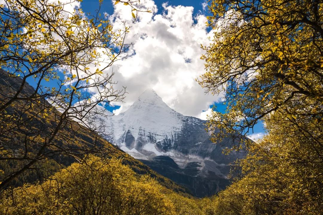 I will not go to work in September, so I will ask for leave to go to Daocheng