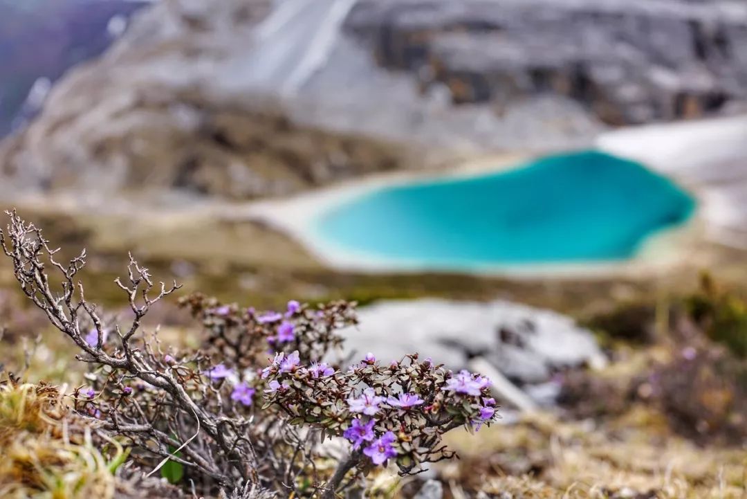 I will not go to work in September, so I will ask for leave to go to Daocheng