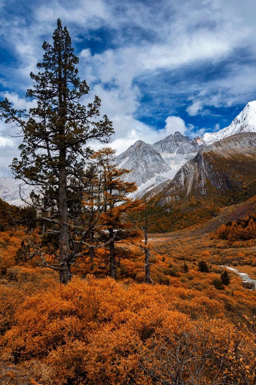 I will not go to work in September, so I will ask for leave to go to Daocheng