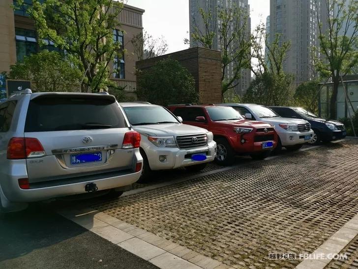 Live report on the Huzhou Conference of China's first Toyota D4D car club