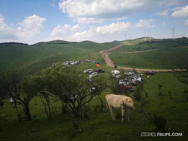 Documentary of the second parent-child camping activity of Pazhong Club members