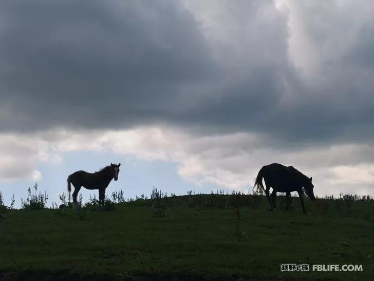 Documentary of the second parent-child camping activity of Pazhong Club members