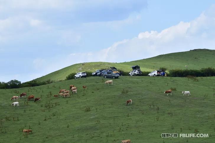 Documentary of the second parent-child camping activity of Pazhong Club members