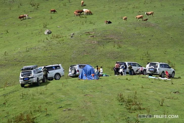 Documentary of the second parent-child camping activity of Pazhong Club members