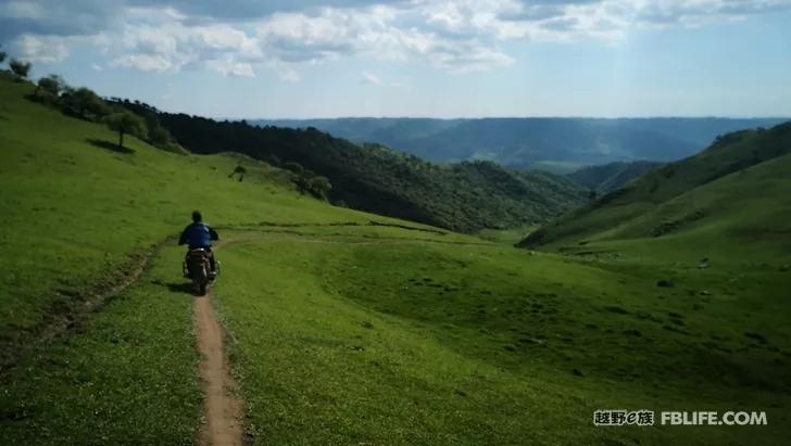 Documentary of the second parent-child camping activity of Pazhong Club members