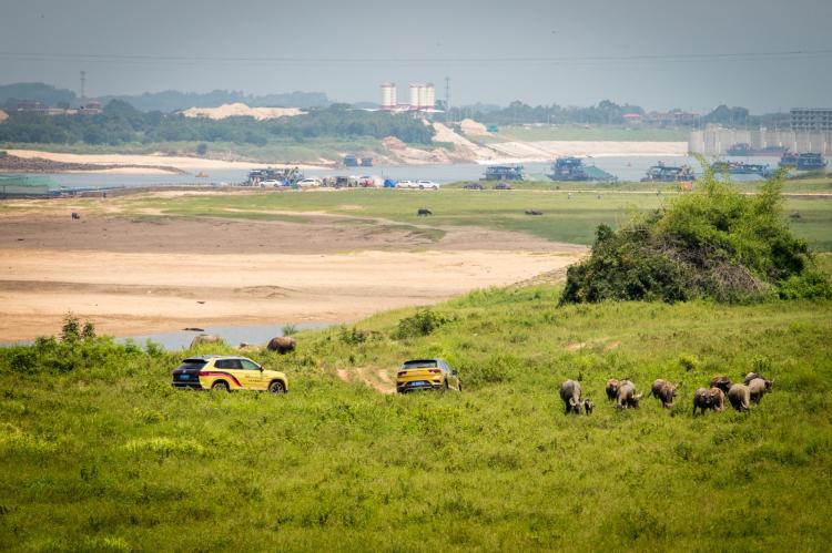 Lao Paoer teaches you how to play off-road | FAW-Volkswagen Tange & Tanyue North Guangdong