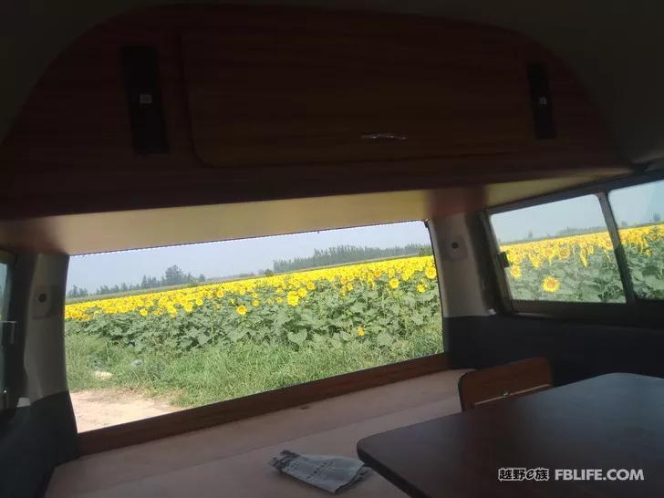 Foton Big G9 Migratory Bird Version The first bed in China for big men in the north