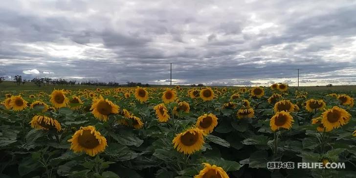 For the unparalleled beauty of cycling across the border of northern Xinjiang