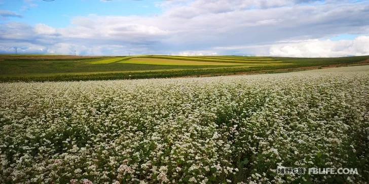 For the unparalleled beauty of cycling across the border of northern Xinjiang