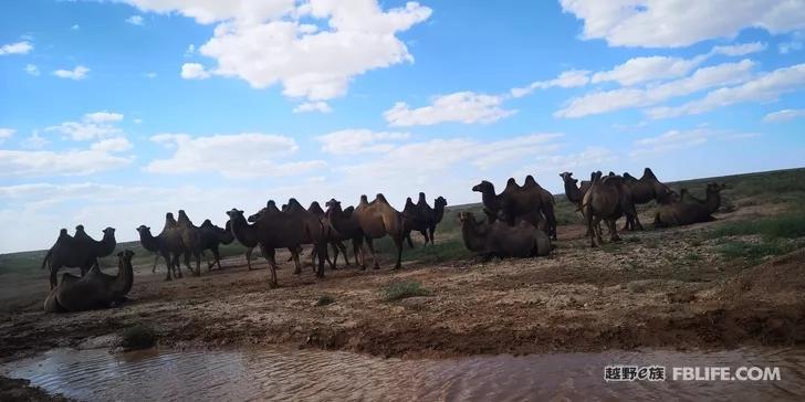 For the unparalleled beauty of cycling across the border of northern Xinjiang