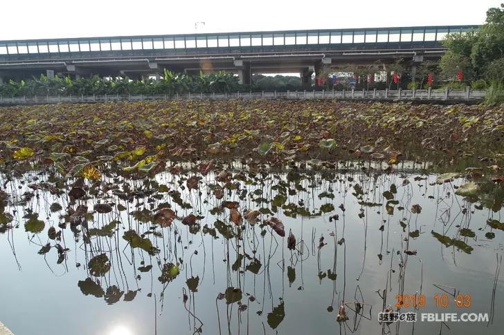 National Day Golden Week Slow Tour Daqing sugar tourists