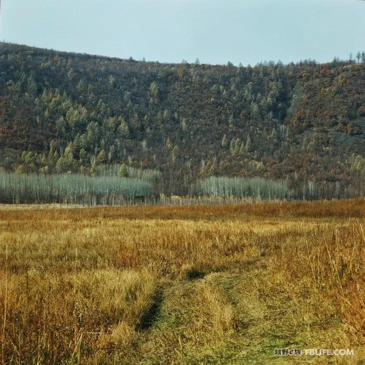 Documentary of Chaihe, Aershan, Erguna Wetland and Benxi Guanmen Mountain on National Day