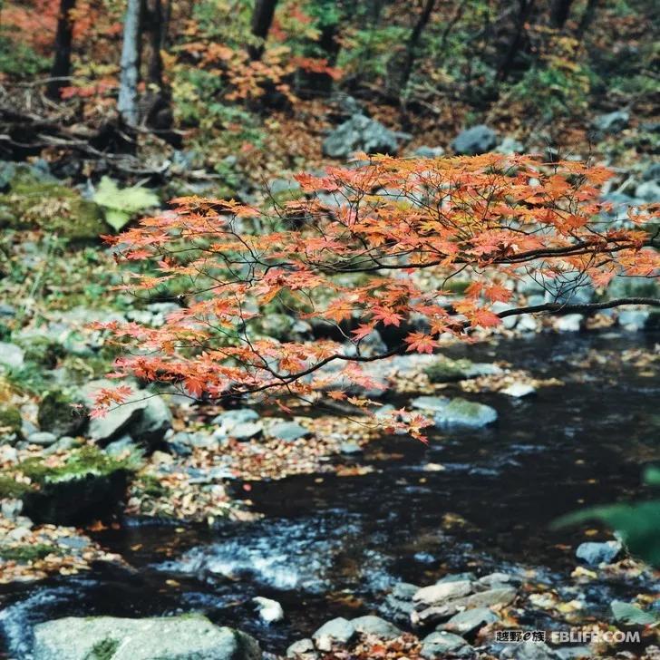 Documentary of Chaihe, Aershan, Erguna Wetland and Benxi Guanmen Mountain on National Day