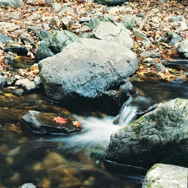 Documentary of Chaihe, Aershan, Erguna Wetland and Benxi Guanmen Mountain on National Day