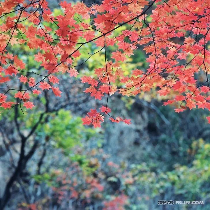 Documentary of Chaihe, Aershan, Erguna Wetland and Benxi Guanmen Mountain on National Day