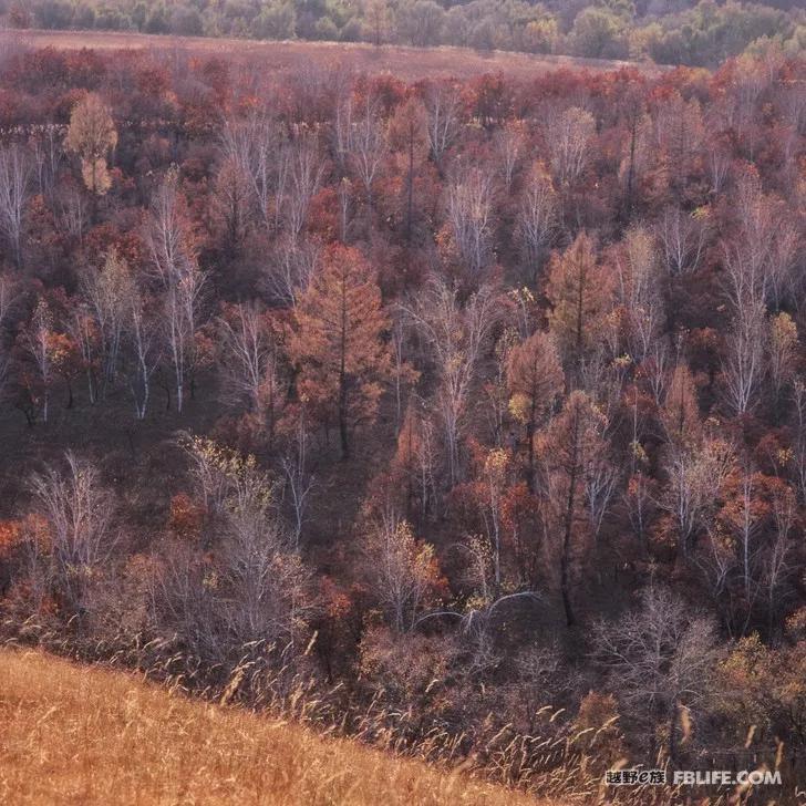 Documentary of Chaihe, Aershan, Erguna Wetland and Benxi Guanmen Mountain on National Day