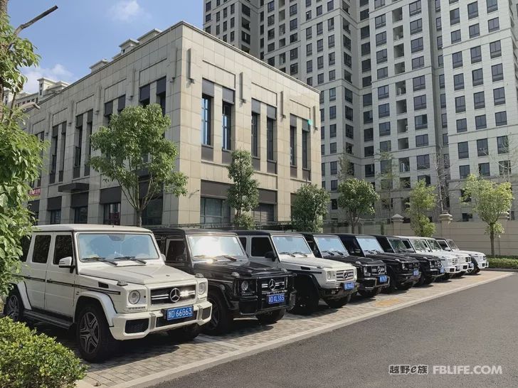 Elites of Mercedes-Benz Miles Gathered at Big G China 2019 Annual Meeting