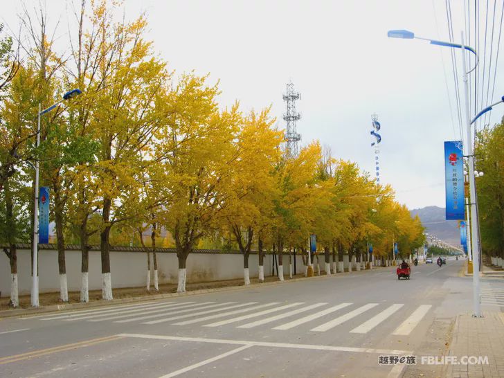 Blue sky, white clouds, clear water, vast Gobi, a bright pearl, dreamy golden world, Delingha