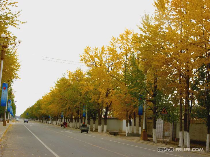 Blue sky, white clouds, clear water, vast Gobi, a bright pearl, dreamy golden world, Delingha