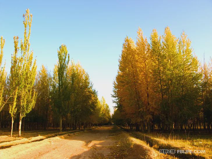 Blue sky, white clouds, clear water, vast Gobi, a bright pearl, dreamy golden world, Delingha