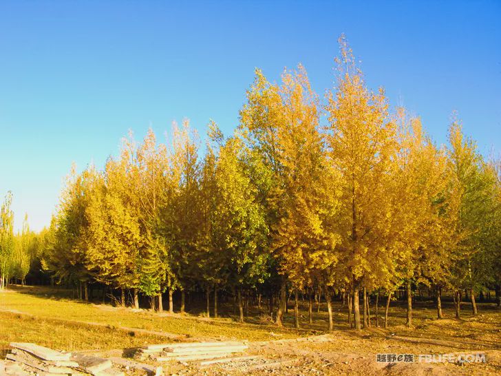 Blue sky, white clouds, clear water, vast Gobi, a bright pearl, dreamy golden world, Delingha