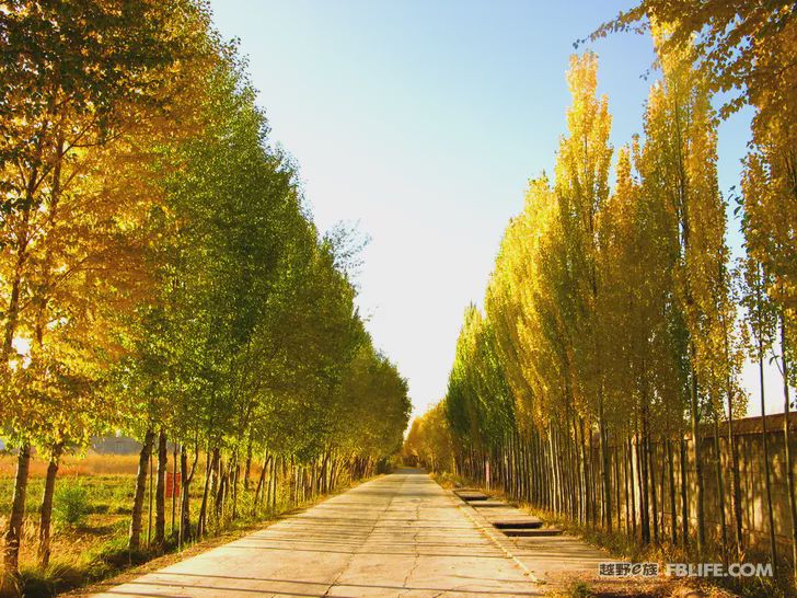 Blue sky, white clouds, clear water, vast Gobi, a bright pearl, dreamy golden world, Delingha