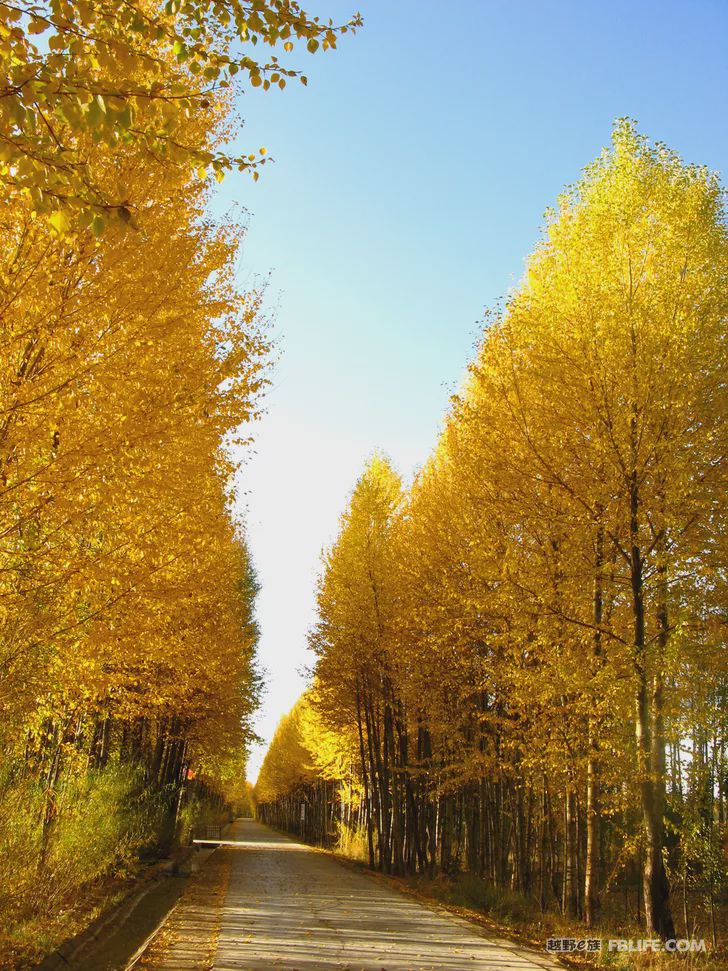 Blue sky, white clouds, clear water, vast Gobi, a bright pearl, dreamy golden world, Delingha