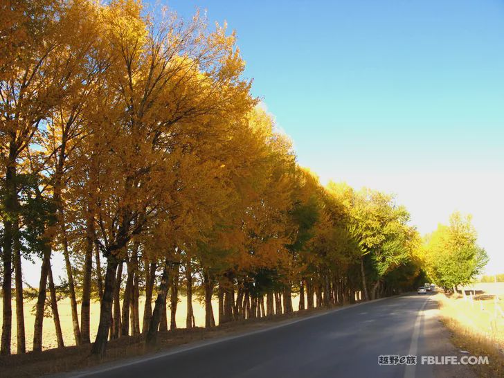 Blue sky, white clouds, clear water, vast Gobi, a bright pearl, dreamy golden world, Delingha