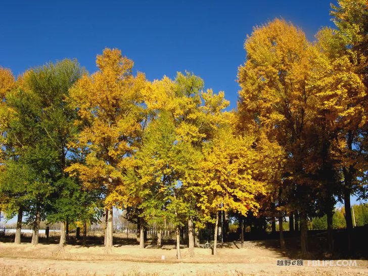 Blue sky, white clouds, clear water, vast Gobi, a bright pearl, dreamy golden world, Delingha