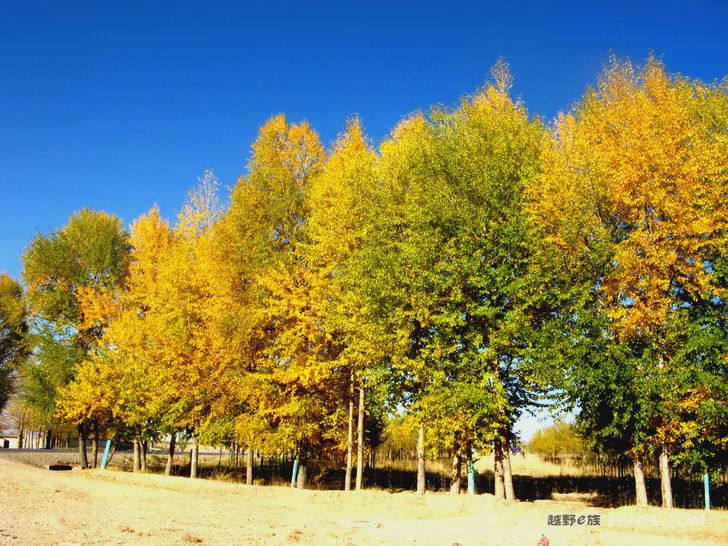 Blue sky, white clouds, clear water, vast Gobi, a bright pearl, dreamy golden world, Delingha