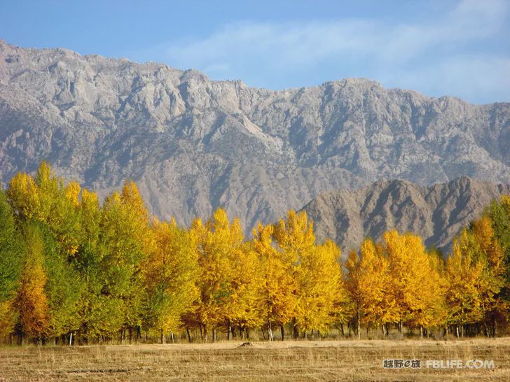 Blue sky, white clouds, clear water, vast Gobi, a bright pearl, dreamy golden world, Delingha