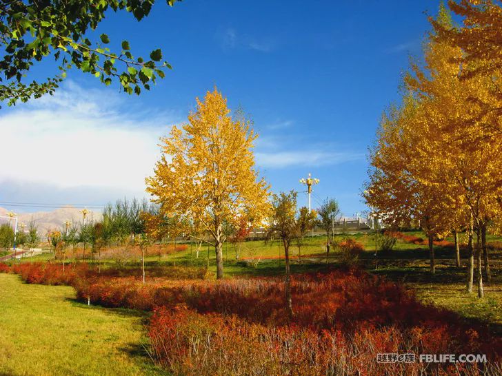 Blue sky, white clouds, clear water, vast Gobi, a bright pearl, dreamy golden world, Delingha