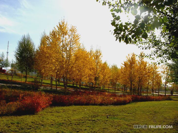 Blue sky, white clouds, clear water, vast Gobi, a bright pearl, dreamy golden world, Delingha