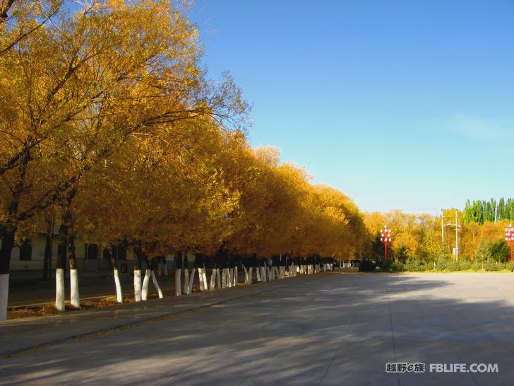 Blue sky, white clouds, clear water, vast Gobi, a bright pearl, dreamy golden world, Delingha