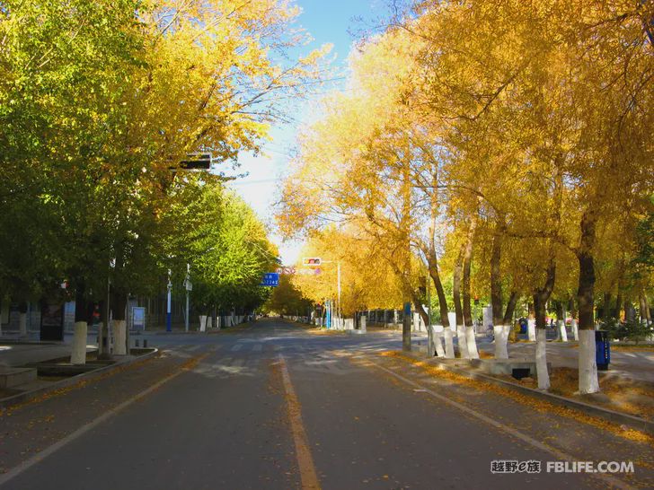 Blue sky, white clouds, clear water, vast Gobi, a bright pearl, dreamy golden world, Delingha