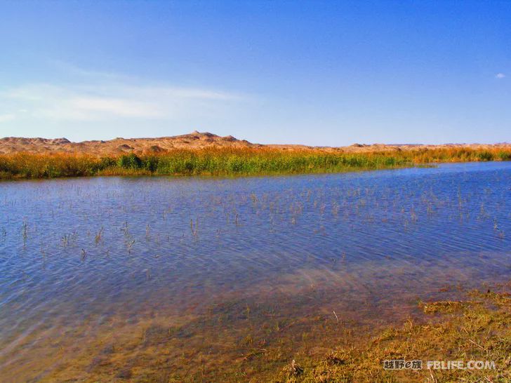 Blue sky, white clouds, clear water, vast Gobi, a bright pearl, dreamy golden world, Delingha