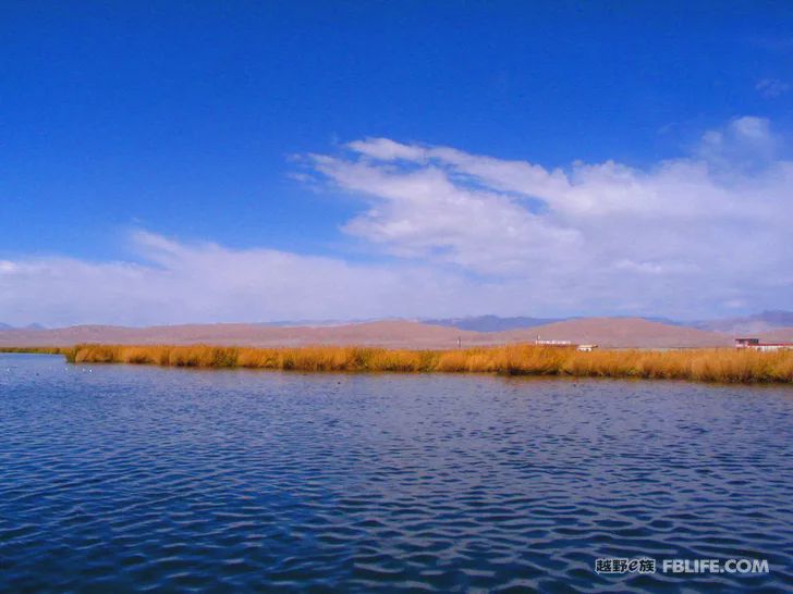 Blue sky, white clouds, clear water, vast Gobi, a bright pearl, dreamy golden world, Delingha